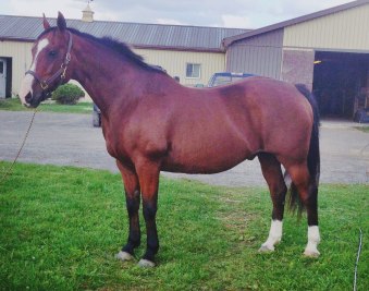 10636916_10152395830934639_3458646510013602826_o