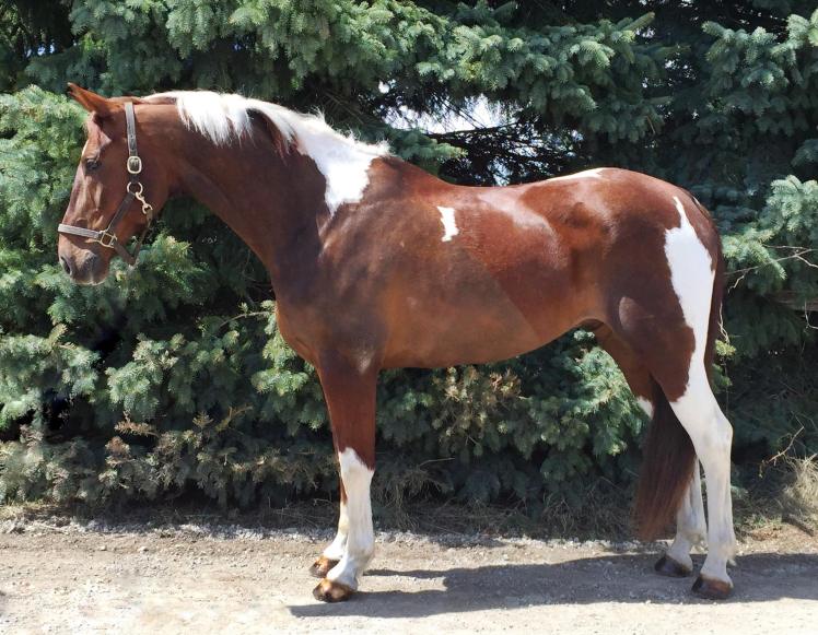 11062266_10152836918219639_3270591813035596471_o