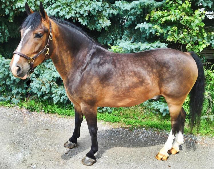 11539252_10152975314104639_2972934479118150908_o