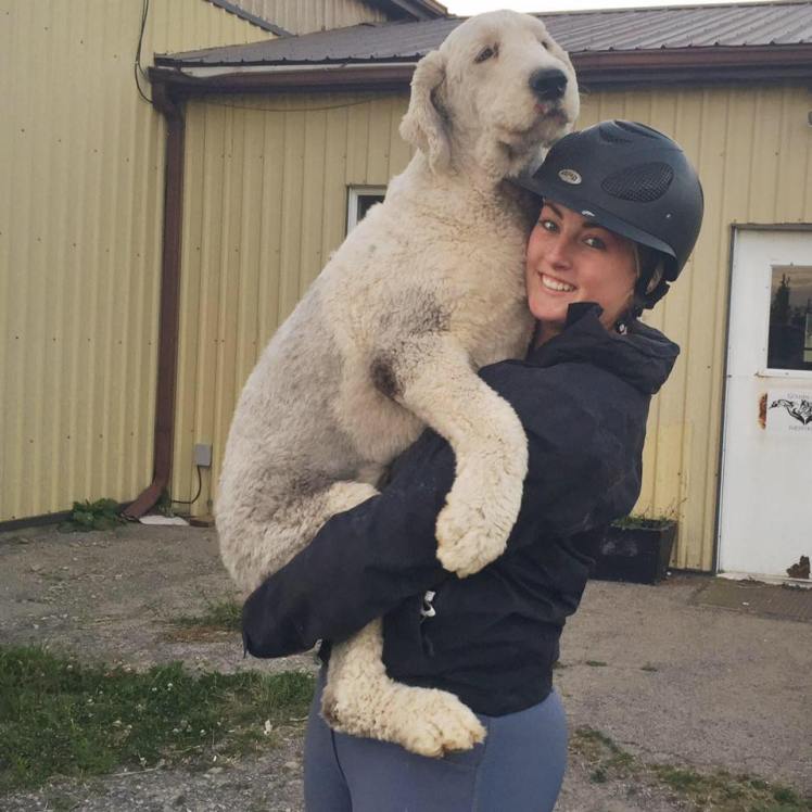 13419019_10153712973244639_3115893399060954331_n