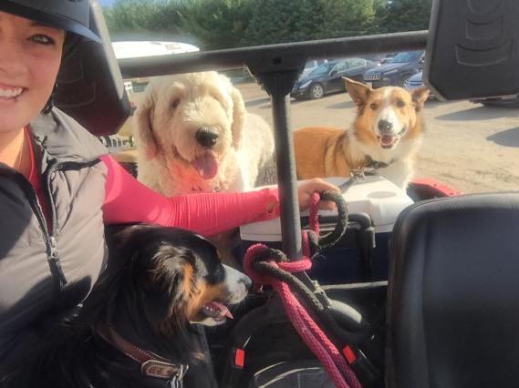 14441151_10153955080014639_8157332472184649709_n