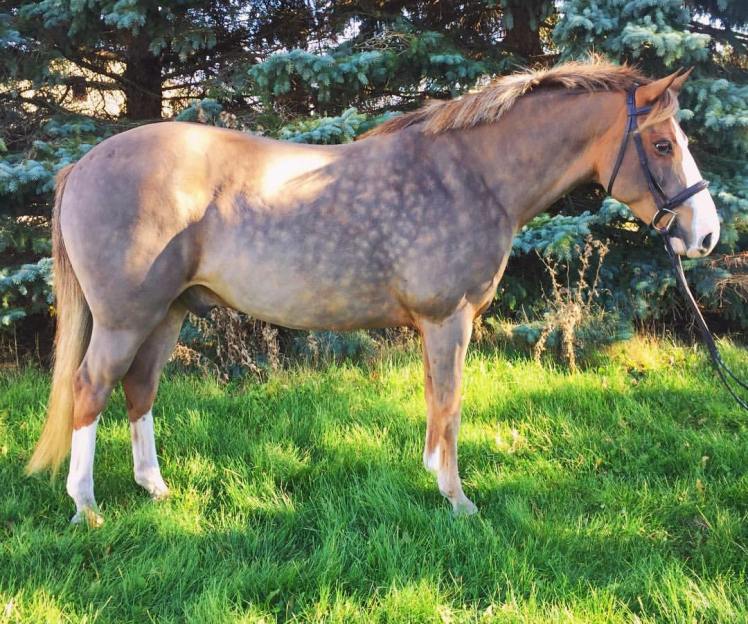 15137411_10154120331339639_646584222283738499_o