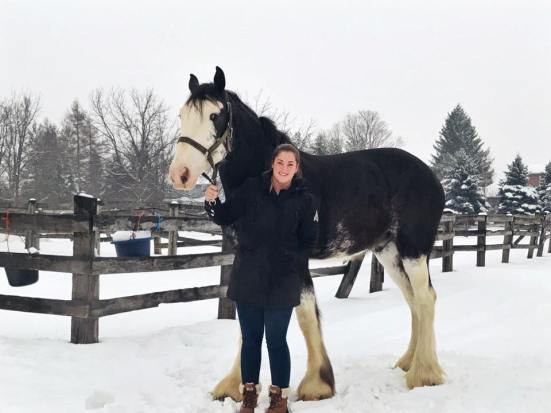 15590162_10154211856819639_5521058178845508888_n