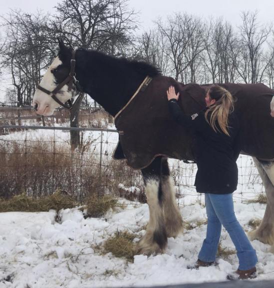 15590583_10154213882299639_1967013013273539194_n