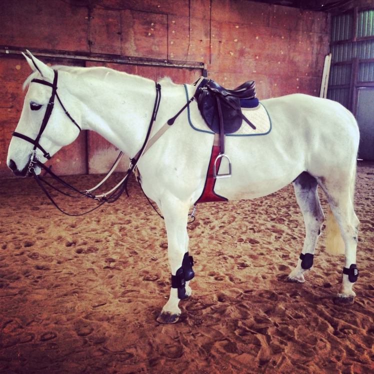 1891457_10152012104214639_1966294428_o