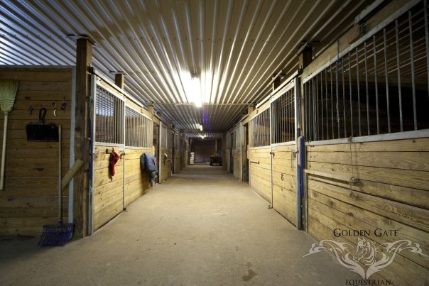 2491_54860053138_1847425_n