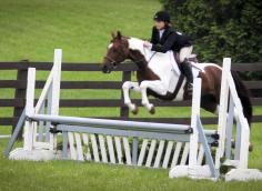 278679_10150267338628139_7503068_o