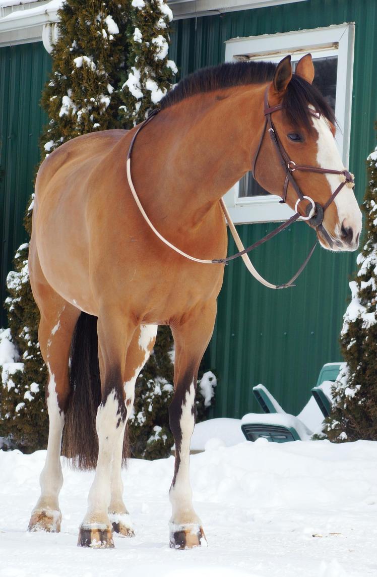 737001_10151214328949639_1320585640_o